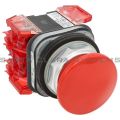 Allen Bradley 800TC-D6A4 Pushbutton | Finger Safe Product Image