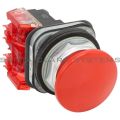 Allen Bradley 800TC-D6D2 Pushbutton | Finger Safe Product Image