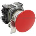 Allen Bradley 800TC-D6LQB Pushbutton | Finger Safe Product Image