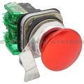 Allen Bradley 800TC-D6QD1 Pushbutton | Finger Safe Product Image
