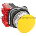 Allen Bradley 800TC-D9D2 Pushbutton | Finger Safe Product Image
