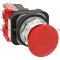 Allen Bradley 800TC-FXT6D2 Pushbutton | Finger Safe Product Image