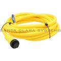 Allen Bradley 889N-F4AF-12F Cordset Product Image