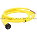 Allen Bradley 889N-F4AFC-6F Cordset Product Image