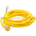 Allen Bradley 889N-F9AF-10 Cordset Product Image