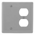 Hubbell NP138GY Control Product Image