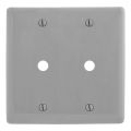 Hubbell NP21GY Control Product Image