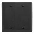 Hubbell NP23BK Control Product Image