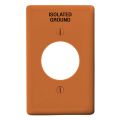 Hubbell NP720OIG Wallplate Product Image