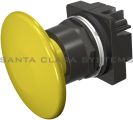 Siemens 52BP2V4 Control Product Image