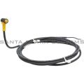 Turck PKW 3Z-2/S90 Cordset Product Image